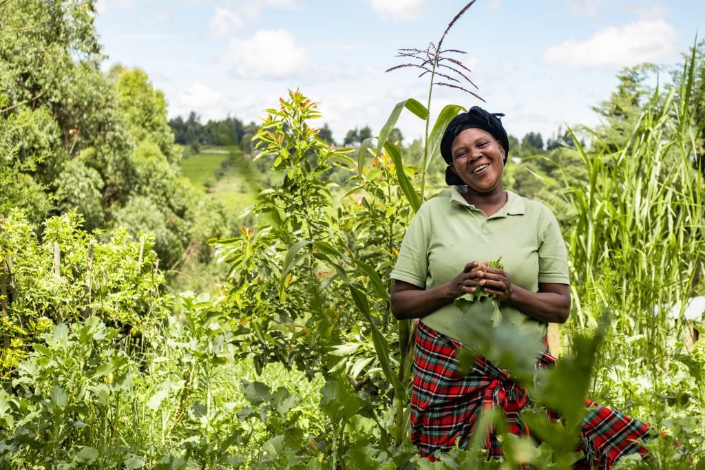 Empowering Tea Communities in Kenya 